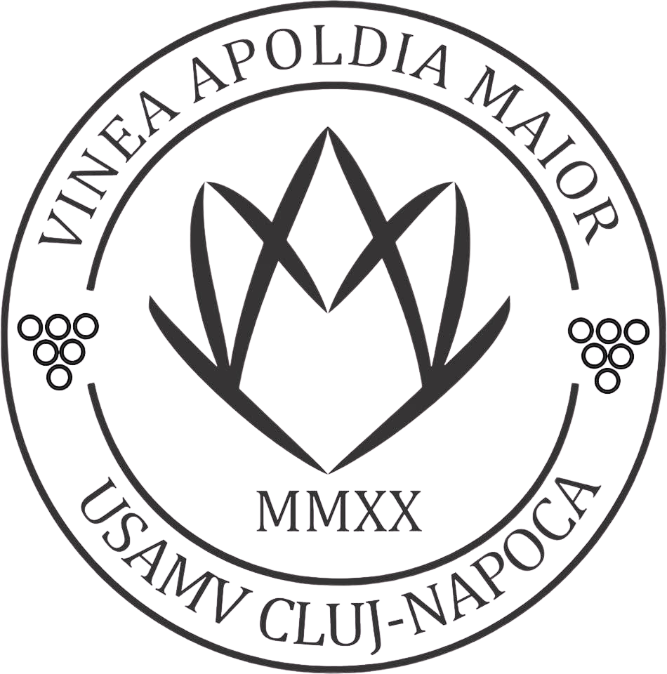 Vinea Apoldia Maior